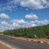 טבע ונוף	 - -645